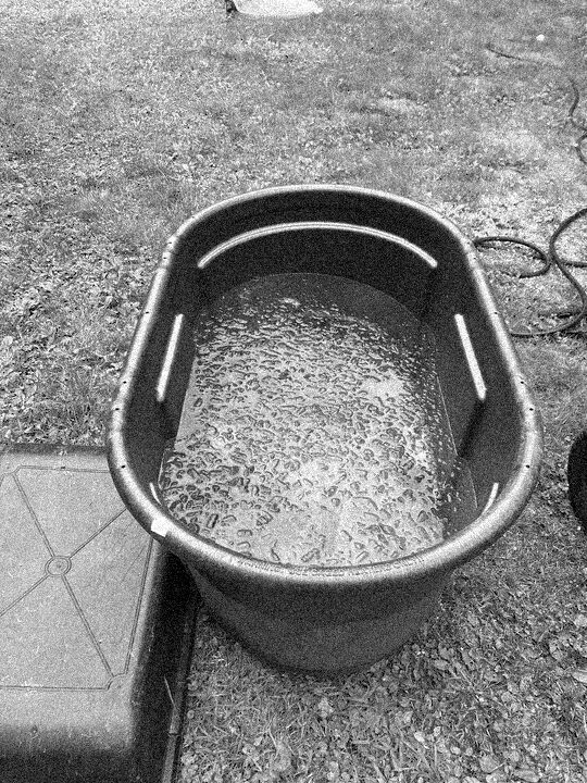 2024-10-24-coldplunge_01.JPEG