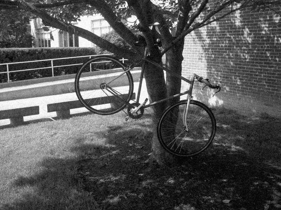 2024-10-24-bluebike_001.jpg
