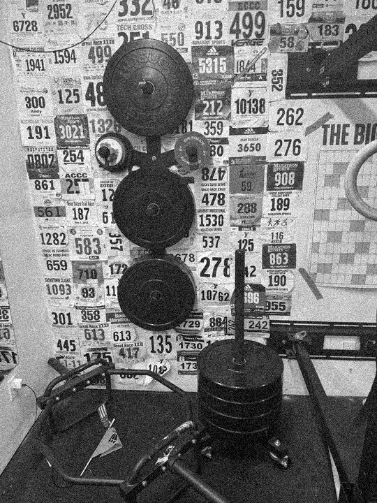2024-10-24-workout_bumpers_hex_wall.JPEG